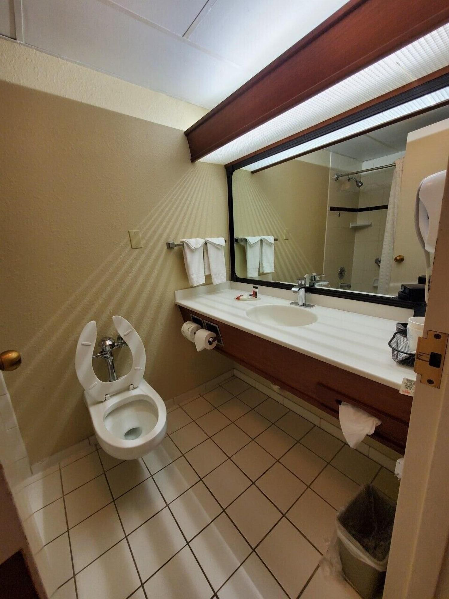 Ramada By Wyndham Downtown 3*